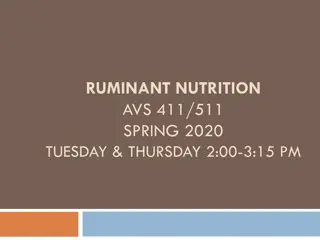 Ruminant Nutrition and Digestive Systems