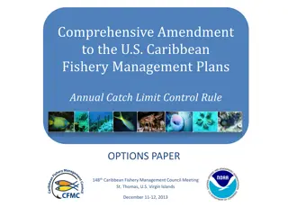 U.S. Caribbean Fishery Management Plans Amendment Options