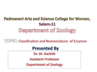 Enzyme Classification and Naming in Biochemistry