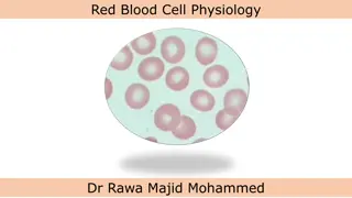 Red Blood Cell Physiology and Clinical Applications