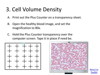 Cell Volume Density Analysis Procedure