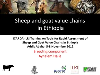 Sheep and Goat Value Chains in Ethiopia