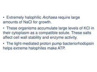 Extreme Halophiles: Adaptation, Growth, and Methanogenesis
