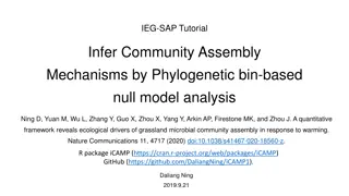 Grassland Microbial Community Assembly Mechanisms and Ecological Drivers