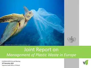 Sea Turtles and Plastic Waste: Joint Audit Report Highlights
