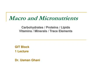 Macronutrients and Micronutrients in Nutrition