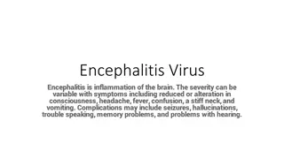 Encephalitis: Causes, Symptoms, and Prevention