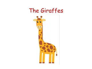Giraffe Measurement Learning Activities