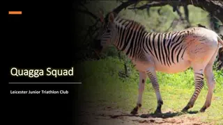 Quagga Squad Events and Training: Dates, Ethos, and More