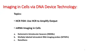Advanced Imaging Techniques via DNA Device Technology