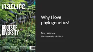 Phylogenetic Inference and DNA Evolution: Understanding the Tree of Life