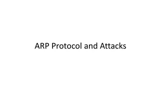 ARP Protocol and Network Interface Basics