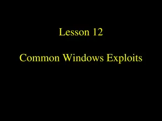 Windows Exploits Overview and Common Vulnerabilities