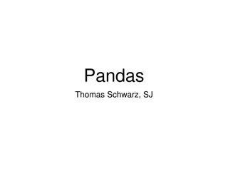 Basics of Pandas: Tool for Data Sets Analysis and Cleaning