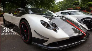 Unique Car Dealership Business Catering to Adults with License - Hippo Motor Group