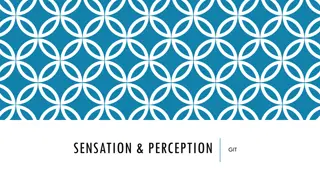 Sensation, Perception, and Cognitive Processes