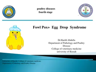 Fowl Pox: Symptoms, Diagnosis, and Treatment in Poultry
