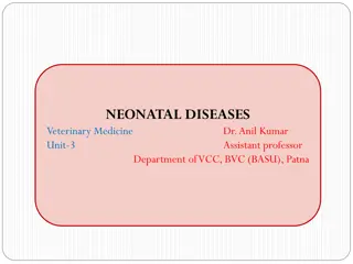 Neonatal Diseases in Veterinary Medicine Unit - Understanding Risks and Causes
