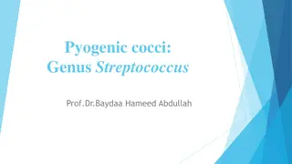 Streptococcus: Characteristics, Classification, and Importance