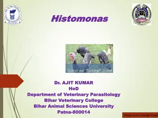 Histomonas meleagridis: Characteristics, Transmission, and Pathogenesis
