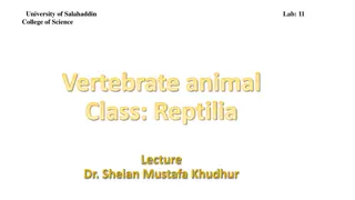 Fascinating World of Reptiles | University of Salahaddin College of Science