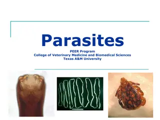 Parasites and Their Impact on Different Host Species