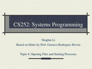 System Calls and File Descriptors in Systems Programming