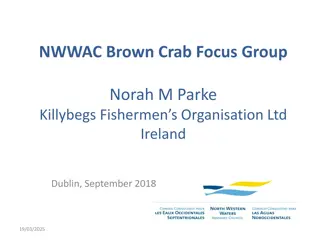 Managing Brown Crab Fisheries in NWWAC Region - Focus Group Insights