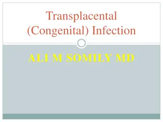 Transplacental Infections: Epidemiology, Diagnosis, and Management