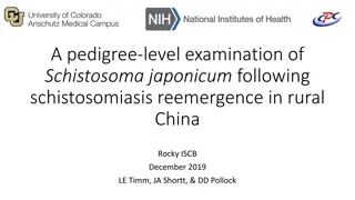 Examination of Schistosoma japonicum Reemergence in Rural China