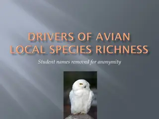 Effects of Habitat and Geography on Bird Species Richness
