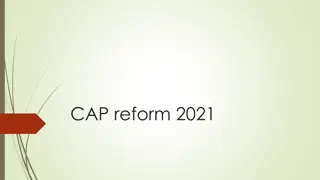 Agricultural Market Challenges and CAP Reform Insights