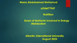 Energy Metabolism and Nutrients' Role