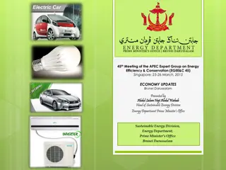 Brunei Energy Efficiency Initiatives & Renewable Energy Policies