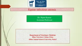 Equine Infectious Anemia: Causes, Transmission, and Symptoms