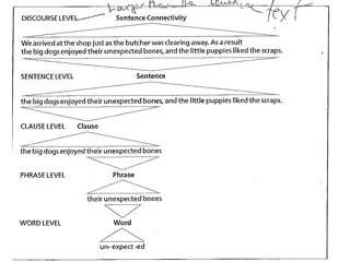 Phrases in Grammar: Types and Structures