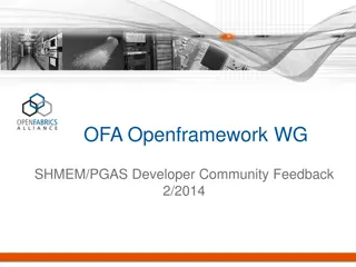 Developer Feedback on SHMEM and PGAS APIs