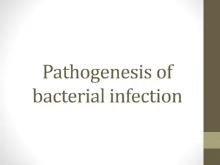 Bacterial Infection Pathogenesis and Transmission