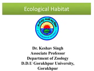 Ecological Habitats and Niche Definitions in Ecology
