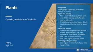Exploring Seed Dispersal in Plants: Learning for Parents