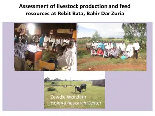 Livestock Production and Feed Resources Assessment at Robit Bata, Bahir Dar Zuria