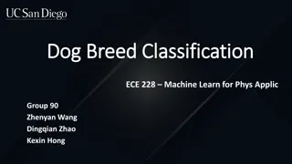 In-Depth Dog Breed Classification Using Machine Learning