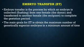 Embryo Transfer: Advantages, Disadvantages, and Process Steps