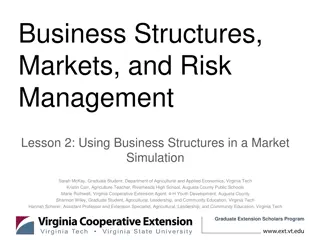 Sole Proprietorship: Advantages and Disadvantages