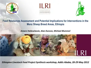 Feed Resources Assessment in Menz Sheep Breed Areas, Ethiopia