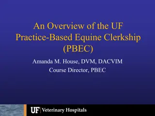 UF Practice-Based Equine Clerkship Overview
