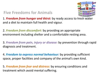 Ethical Egg Choices Based on Animal Welfare Guidelines