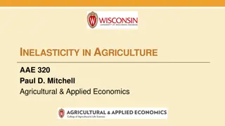 Inelasticity in Agriculture and Economics