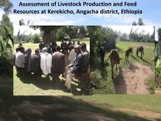 Livestock Production Assessment in Kerekicho, Angacha District, Ethiopia