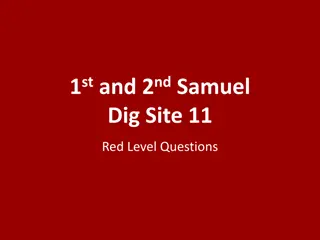 Dig Site 11: Questions from 1st and 2nd Samuel Red Level